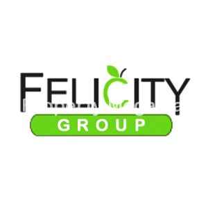 Felicity Group logo
